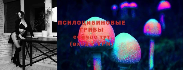 шишки Богородицк